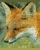 LISAKFOX